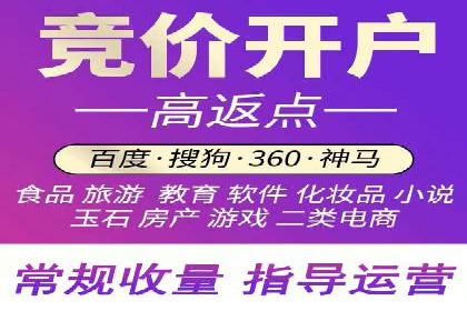 百度竞价SEM策略解析：某品牌广告成功的关键因素